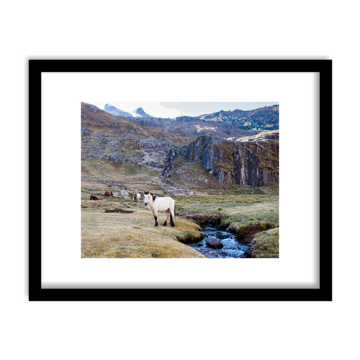 "Andean Horses" Framed Print Art Print Lindsay Upson Photography 11" x 14" Framed Black