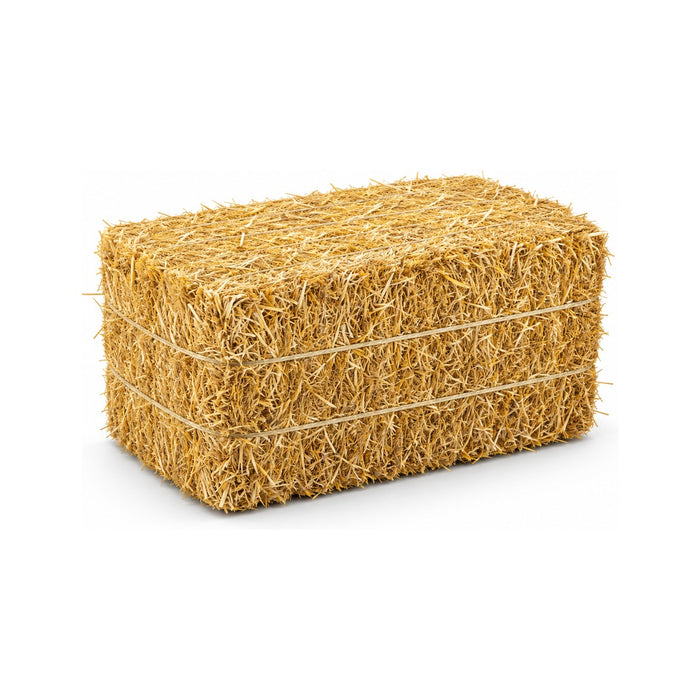 Barley Straw