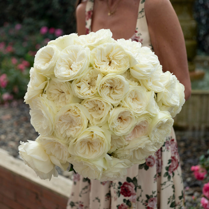 David Austin® Leonora™ Bouquet