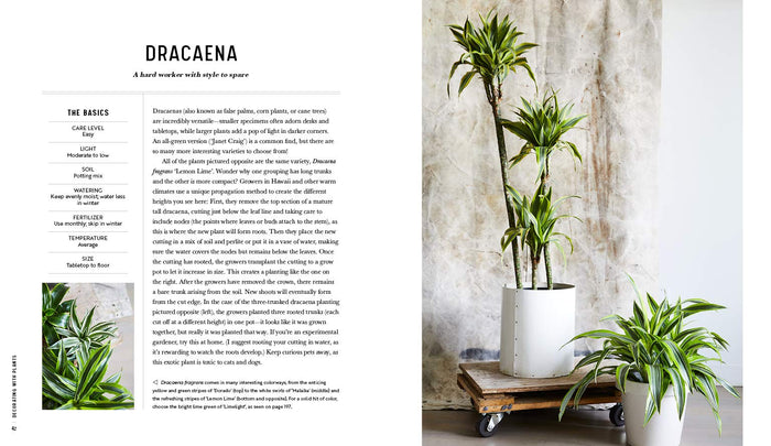 Decorating with Plants Book Book Baylor Chapman