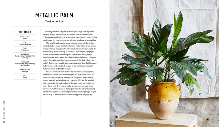 Decorating with Plants Book Book Baylor Chapman