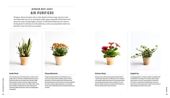 Decorating with Plants Book Book Baylor Chapman