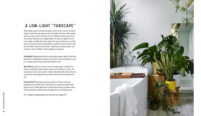 Decorating with Plants Book Book Baylor Chapman