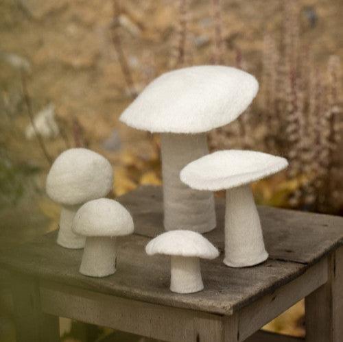 Felt Mushroom - Natural Decor Muskhane