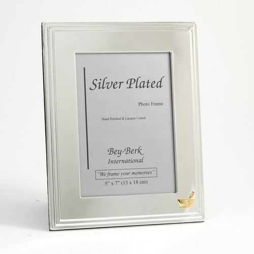 "Hepius" Picture Frame