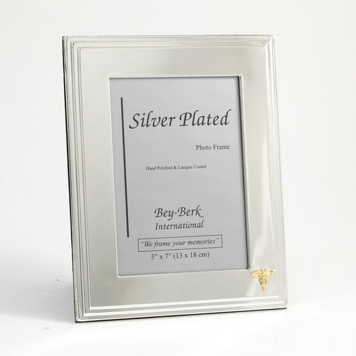 "Hygieia" Picture Frame