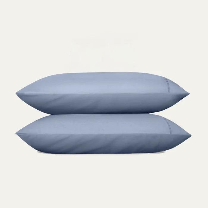 Two blue pillows on a light gray background