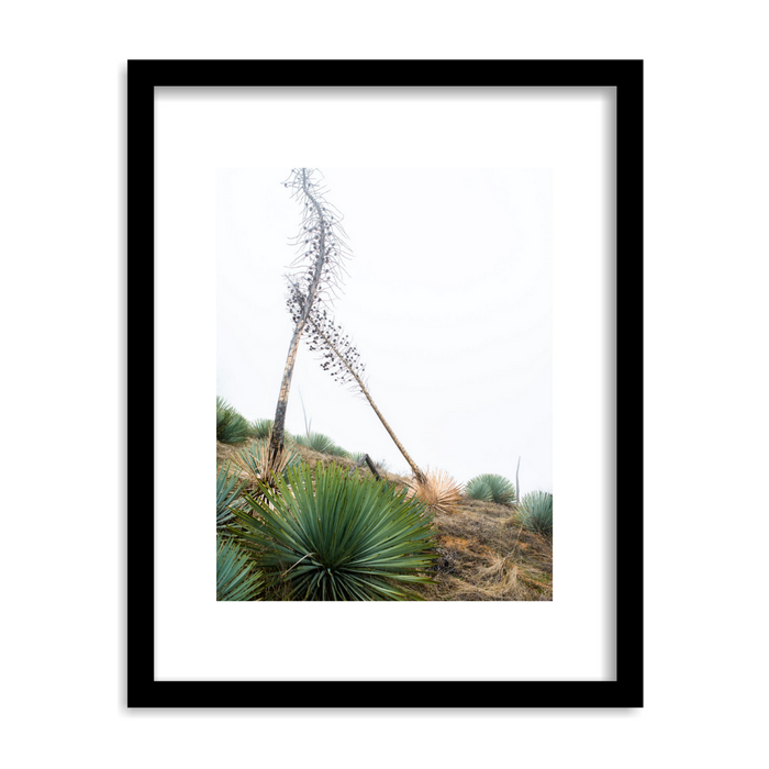"Off the Beaten Path" Framed Print Art Print Lindsay Upson Photography 11" x 14" Framed Black