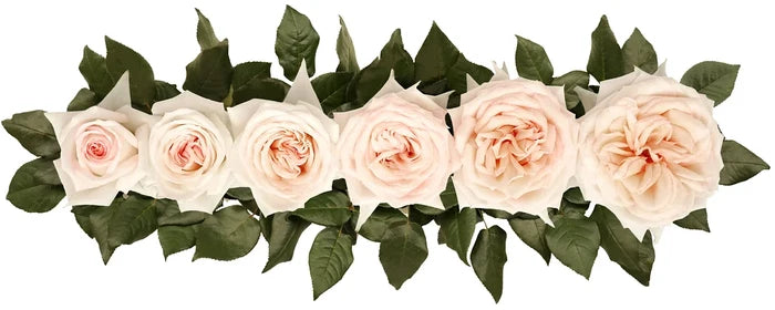 Princess Maya® Bouquet
