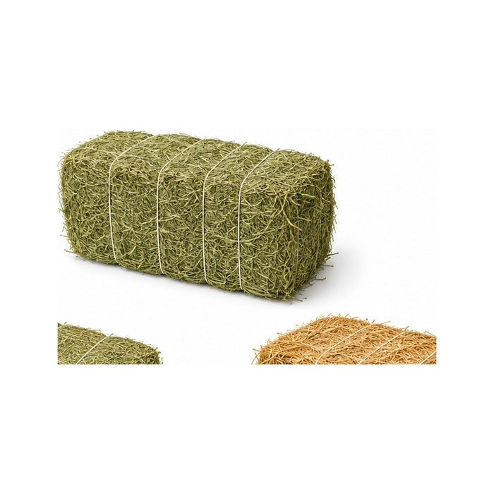 Timothy (1st cutting Half)