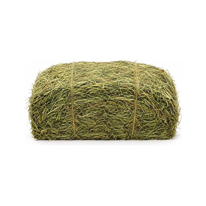 Timothy (2nd cutting Half)