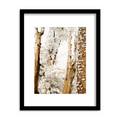 "Winter Trees, Sierras California" Framed Print Art Print Lindsay Upson Photography